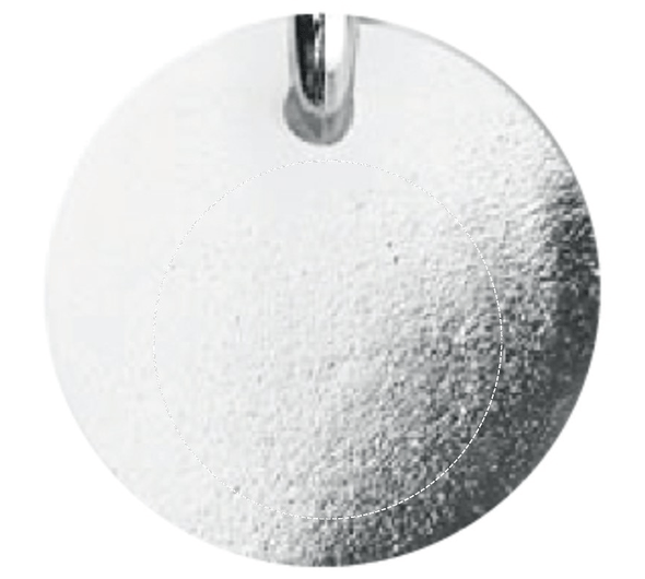 Jeton porte-clés (jeton €uro)